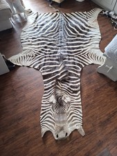 Zebra animal skin for sale  BRIGHTON