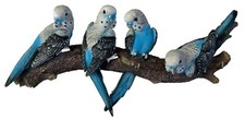 Blue parakeet birds for sale  Webster