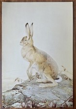 fine art for sale fine art for sale WREXHAM