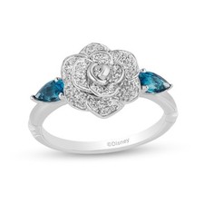 Collector edition enchanted for sale  North Palm Beach