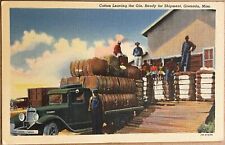 Grenada mississippi cotton for sale  Fort Collins