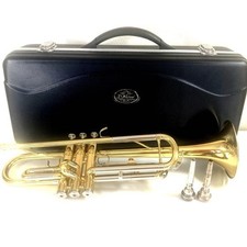 2 bocais com estojo rígido J.Michael Trumpet comprar usado  Enviando para Brazil