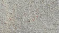 Strandsand pwani mchangani gebraucht kaufen  Detmold