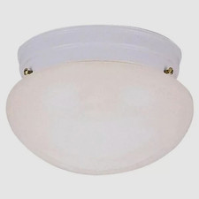 Westinghouse light ceiling for sale  El Dorado Hills