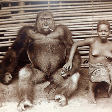 Animaux braconnage grandes d'occasion  Paris IX