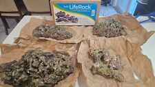 dry live reef rock for sale  Freeport