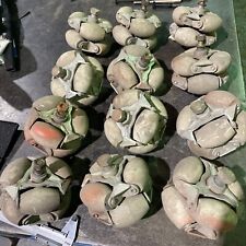 Gravity polydirectional roller for sale  STAMFORD