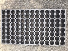 Stk aussaatplatten anzuchtplat gebraucht kaufen  Hohenstücken