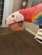 scarlet macaw for sale  Newtown