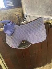 Mieux blueberry set for sale  ASHBY-DE-LA-ZOUCH