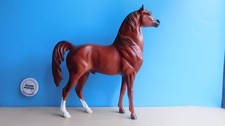 Hartland chestnut arabian for sale  Gasport