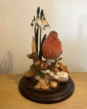 Country artist robin for sale  ROSS-ON-WYE