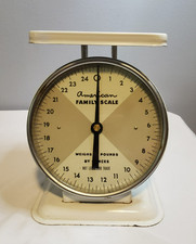 Vintage american family for sale  Saybrook