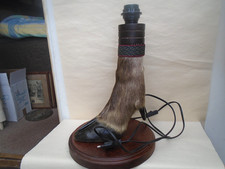 Unusual french taxidermy for sale  NORWICH