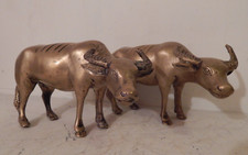Pair solid brass for sale  BRISTOL