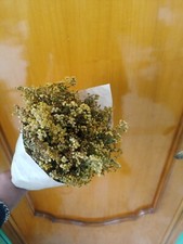 Bouquet fiori secchi usato  San Mauro Forte