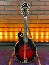 2021 washburn m3sw for sale  Buffalo
