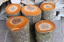 Pflaumenholz cm lang gebraucht kaufen  Deutschland