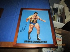 bruno sammartino for sale  Linthicum Heights