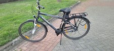 Pegasus piazza trekkingrad gebraucht kaufen  Vreden