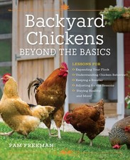 Backyard chickens beyond for sale  Lynden