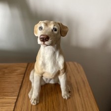 Castagna labrador ornament for sale  FELTHAM