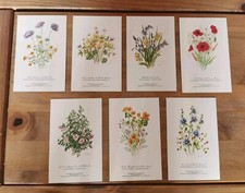 Different fine arts for sale  GRIMSBY