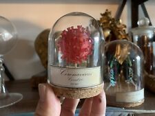 Globe virus souvenir d'occasion  Aiglun