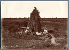 Algeria palm guardians d'occasion  Expédié en Belgium