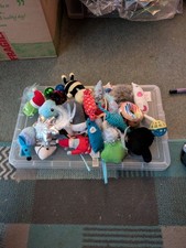 bundle cat for sale  SOUTHEND-ON-SEA