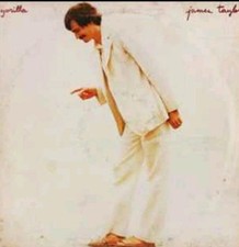 Vinile giri james usato  Biancavilla