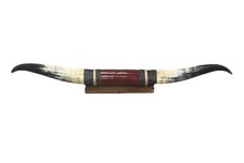 Bull horns display for sale  Gallipolis