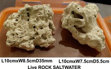 Live rock saltwater for sale  PLYMOUTH