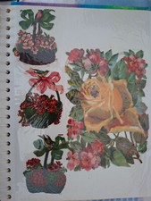 Album blaten glanzbilder gebraucht kaufen  Deichhorst