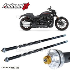Harley davidson rod usato  Napoli