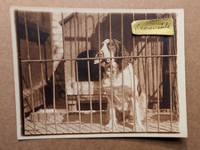 Unusual old vintage for sale  BARNOLDSWICK