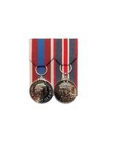 Court mounted medal for sale  DRIFFIELD