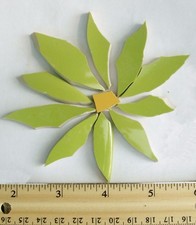 Green daisy flower for sale  Sherman Oaks