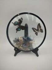 Vtg butterfly convex for sale  Nevada