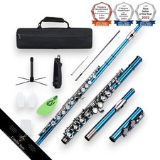 Conjunto iniciante de flauta azul C 16 furos chave G com suporte de mecanismo E, usado comprar usado  Enviando para Brazil
