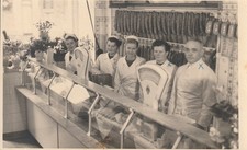 freiberger gebraucht kaufen freiberger gebraucht kaufen  Freiberg