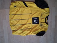 Trikot saison 2024 gebraucht kaufen  Recklinghausen