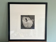 Print ballerina black for sale  LONDON