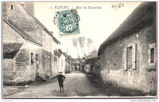 Fleury rue branches d'occasion  Expédié en Belgium