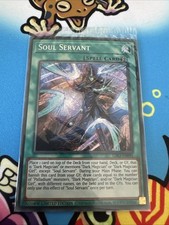 Soul servant lds3 for sale  LEICESTER