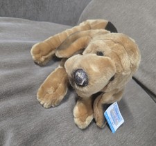 animal alley dog for sale animal alley dog for sale Burson