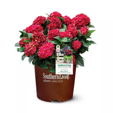 2.5 qt. heart for sale  Madera