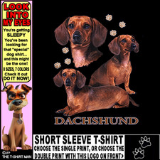 Dachshund hound weiner for sale  Bunnell