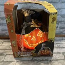 Fiber optic pumpkin for sale  Brentwood