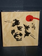 Vinile verdena luna usato  Verona